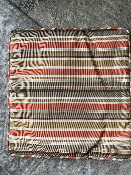 Photo of free 8 Garden Chair Cushions (Enfield EN1) #2