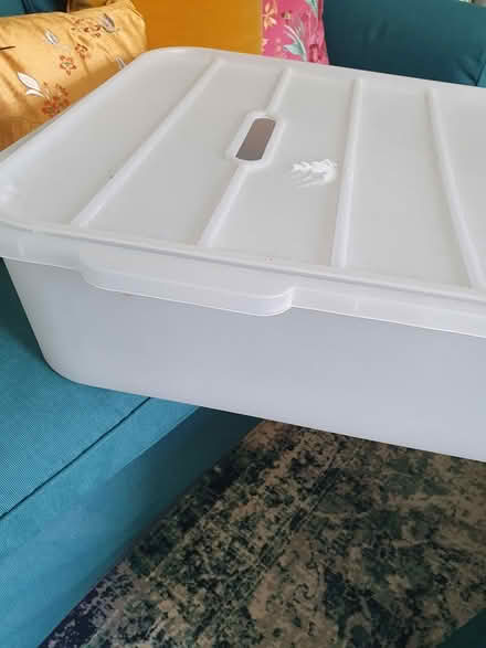 Photo of free Large plastic storage box with lid (Aldershot GU12) #2