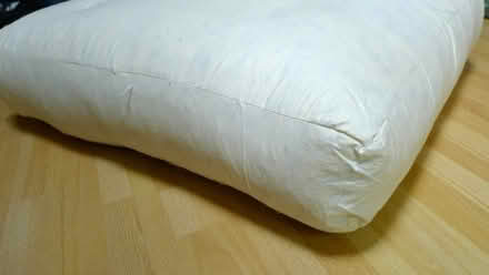 Photo of free 2 x Sofa Cushions - feather filled (Charvil RG10) #2