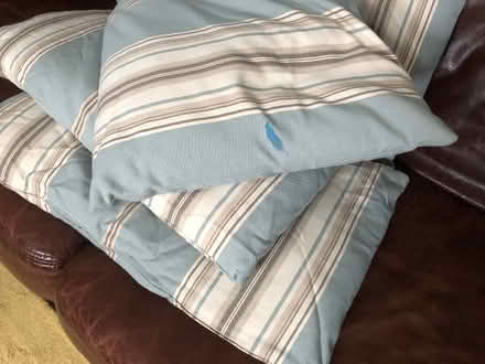 Photo of free Blue striped cushions (Tunbridge Wells N. TN2) #3