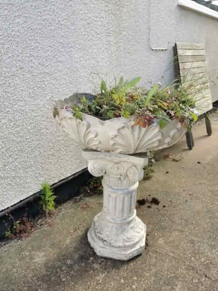 Photo of free Large planter with pedestal (CO13) #3