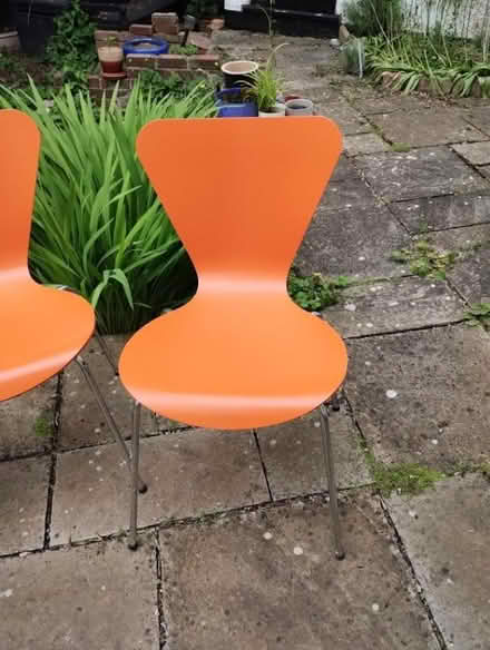 Photo of free Set of 4 dining chairs (East Finchley N2) #3