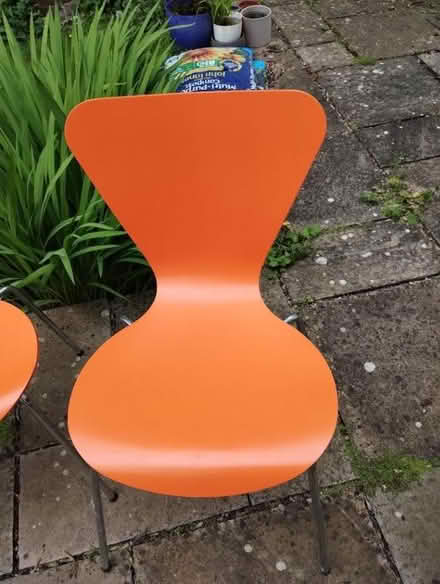 Photo of free Set of 4 dining chairs (East Finchley N2) #2