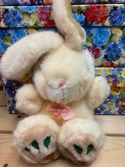Photo of free Soft Toys - Lot 1 (Collegeville, near Arcola) #3