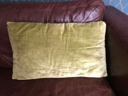 Photo of free Green 'zebra stripe' cushions (Tunbridge Wells N. TN2) #2