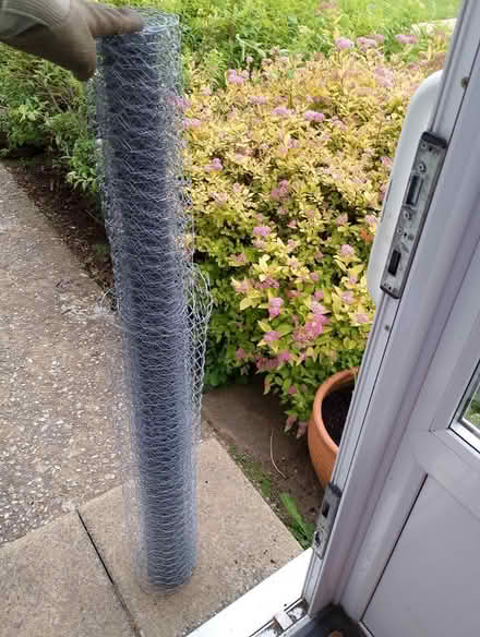 Photo of free Chicken wire (Lancing) #1