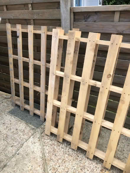 Photo of free Pallets (Behind Horsham train station) #1