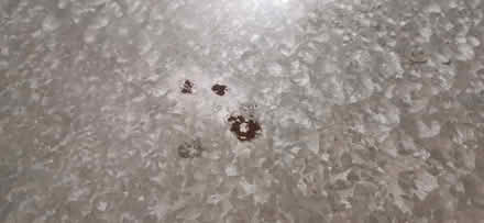 Photo of free 30 Inch Medium Dog Cage in Silver (M33) #4