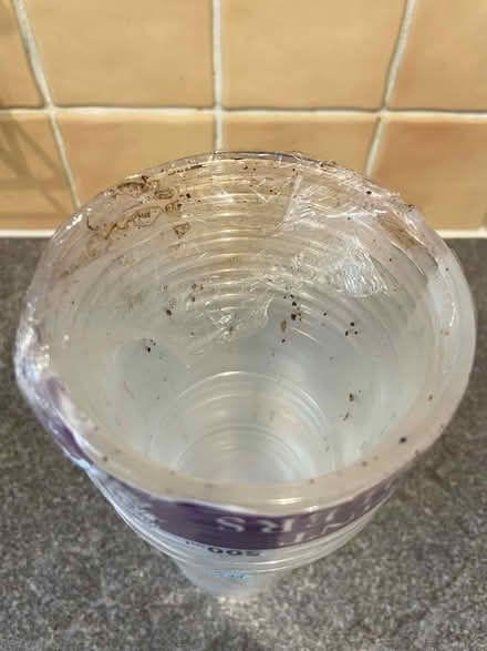 Photo of free Disposable plastic cups (Amersham HP7) #2