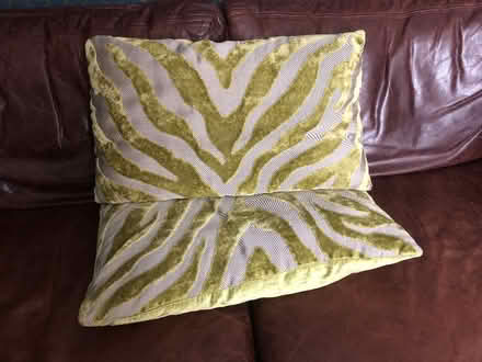 Photo of free Green 'zebra stripe' cushions (Tunbridge Wells N. TN2) #3