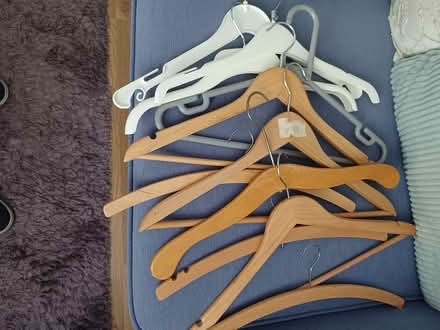 Photo of free Wooden hangers and few plastic (AL6 Welwyn) #1