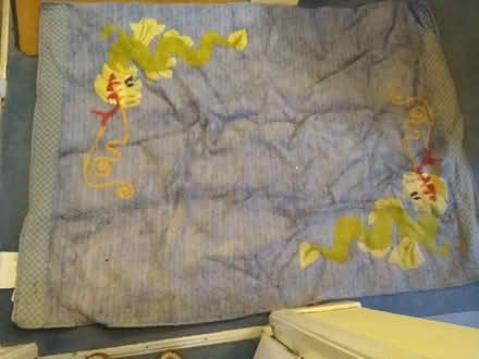Photo of free Ikea dragon rug (Canonmills EH3) #1