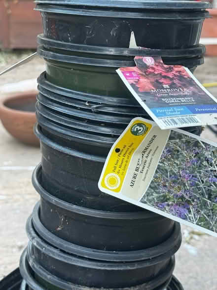 Photo of free Plastic planting pots (San Jose) #2