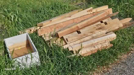 Photo of free Wood scraps (Maple Leaf) #2