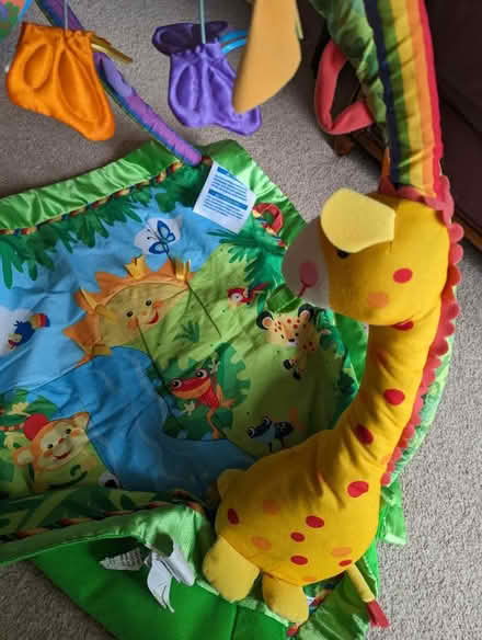 Photo of free Baby playmat and mobile (Lewes, near Prison/Winterborne) #3
