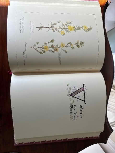 Photo of free Beautifully-illustrated book of Australian wild flowers (Frome BA11) #2