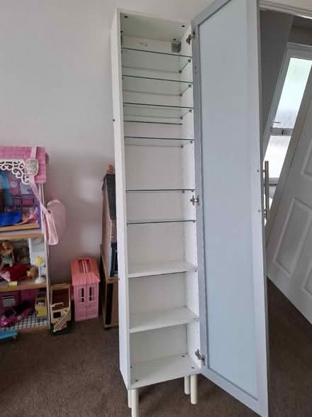 Photo of free Tall slim cabinet (Stretton Sugwas HR4) #2