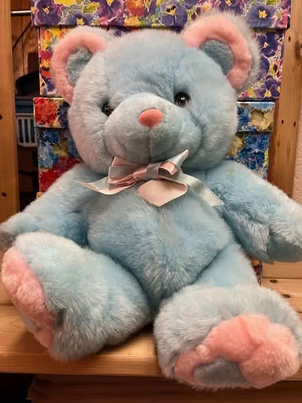 Photo of free Soft Toys - Lot 1 (Collegeville, near Arcola) #4