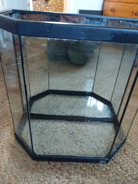 Photo of free Fish tank (Rowde SN10) #1