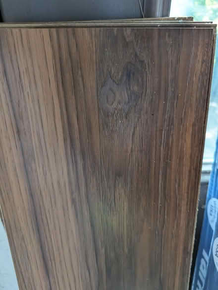 Photo of free 50 sq ft laminate flooring (Brighton, MI)