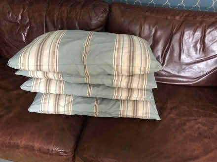 Photo of free Blue striped cushions (Tunbridge Wells N. TN2) #2