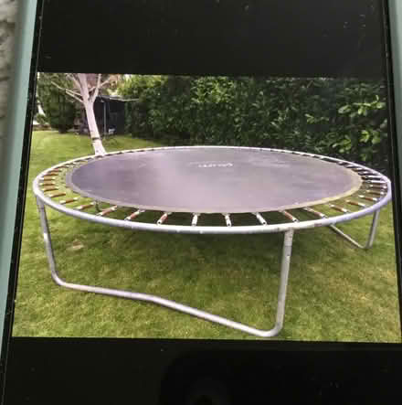 Photo of free Trampoline Collection from Loose (Loose) #3