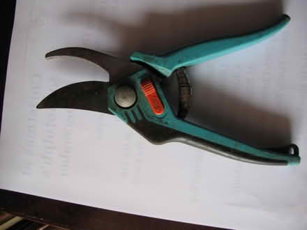 Photo of free Secateurs (Netherton) #1