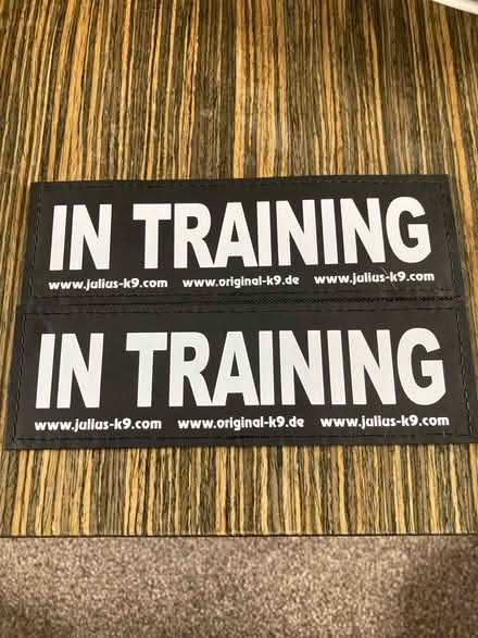 Photo of free 2 x Dog Harness Attachments (Coppull Chorley PR7) #1