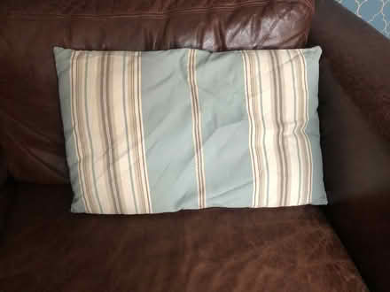 Photo of free Blue striped cushions (Tunbridge Wells N. TN2) #1