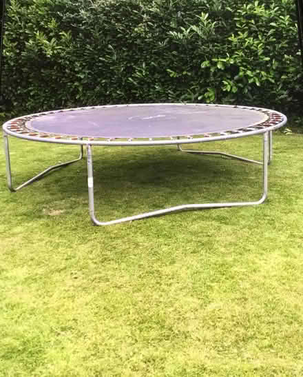 Photo of free Trampoline Collection from Loose (Loose) #1