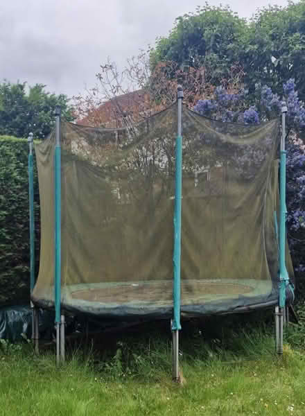 Photo of free 3 metre trampoline. Used (AL4) #1