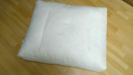 Photo of free 2 x Sofa Cushions - feather filled (Charvil RG10) #1