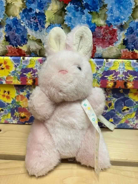 Photo of free Soft Toys - Lot 2 (Collegeville, near Arcola) #2