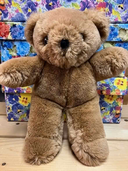 Photo of free Soft Toys - Lot 1 (Collegeville, near Arcola) #2