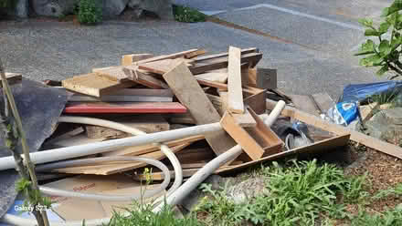 Photo of free Wood scraps (Maple Leaf) #3