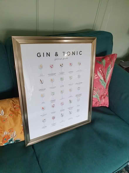 Photo of free Framed G&T garnish print (Aldershot GU12) #1