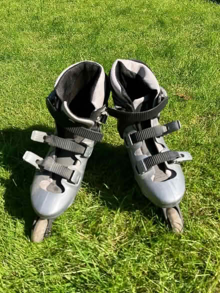 Photo of free Roller blades, adult size 5 (Lyndon Green B26) #1