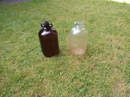Photo of free demijohns (Sheddingdean RH15) #1