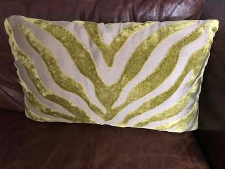 Photo of free Green 'zebra stripe' cushions (Tunbridge Wells N. TN2) #1