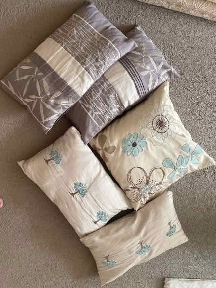 Photo of free 5 Cushions (Little Dawley TF4) #1