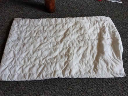Photo of free Pillow case protector (HD4 Armitage bridge) #1