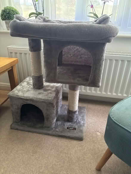 Photo of free Cat tower with sleeping areas and scratching posts (Eversley RG27) #1