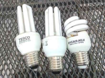 Photo of free 3 compact fluorescent bulbs (Great Boughton CH3) #1