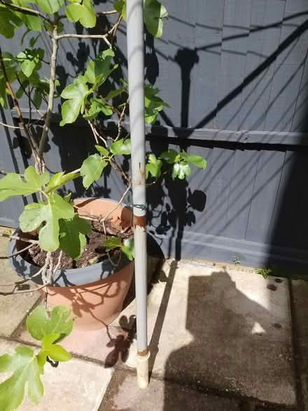 Photo of free rotary washing dryer (51 farmer's close OX28) #2