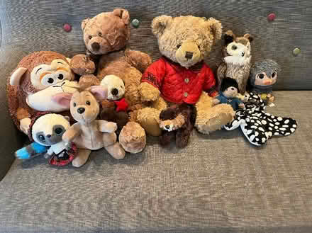 Photo of free Collection of soft toys (Polwarth EH14) #1