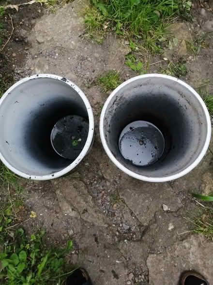 Photo of free 2 large plastic pots (Innox Hill BA11) #2