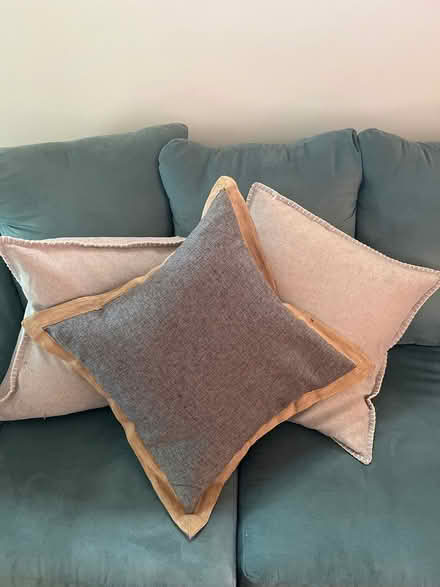 Photo of free Pillows (Somerville/Ball Square) #1