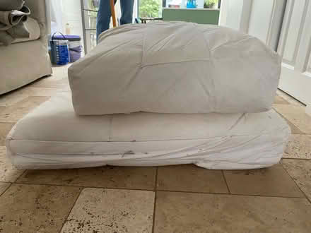 Photo of free Sofa Cushions (SW13) #1