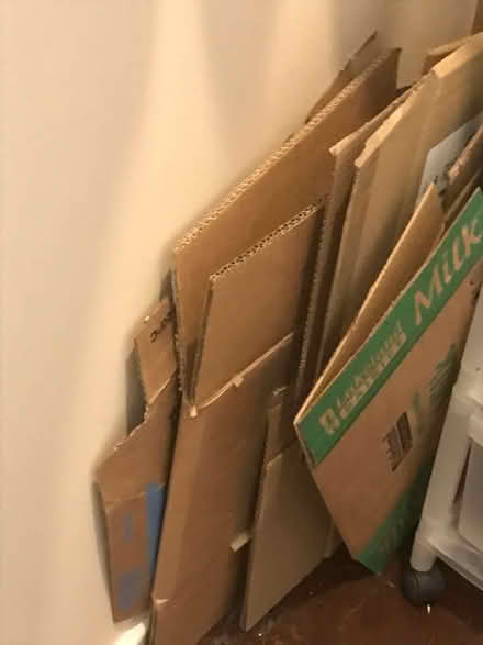 Photo of free boxes ideal for moving ect (Buckland TQ12) #2