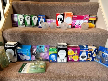 Photo of free Incandescent light bulbs (Long Melford CO10) #1